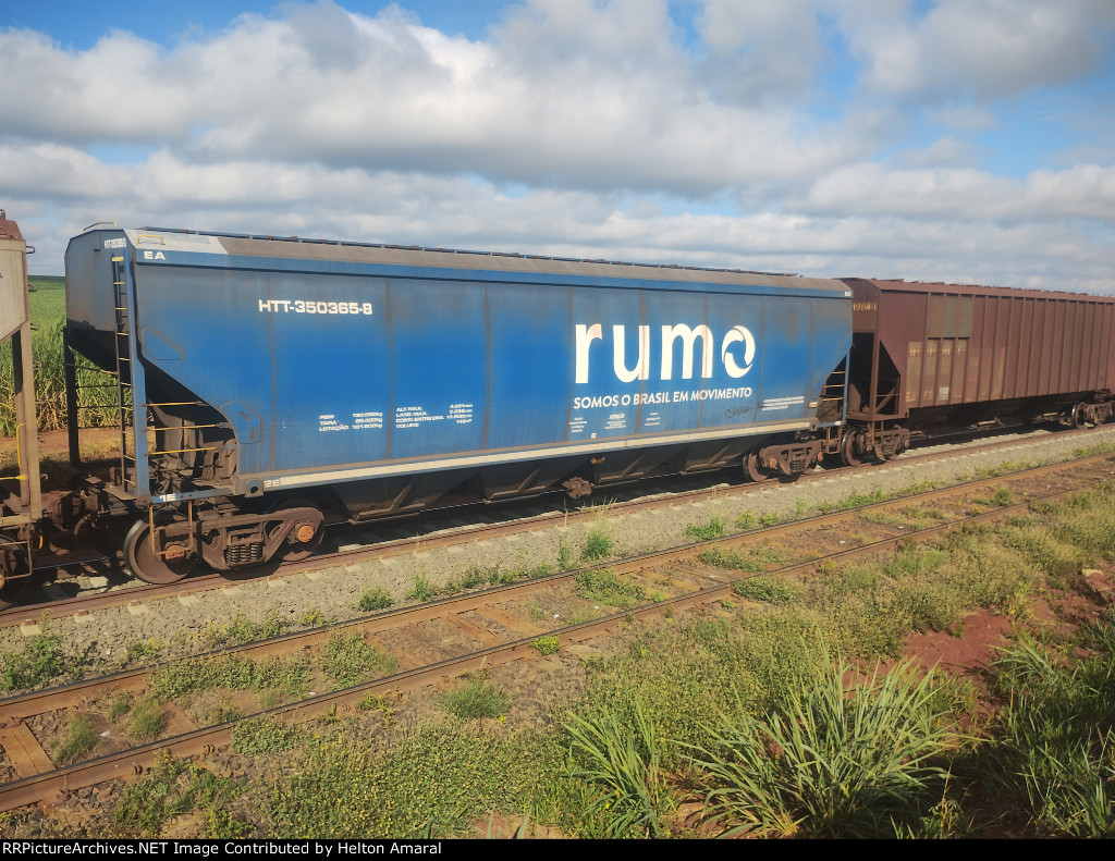 RUMO HTT-350365-8